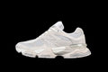 NB 9060 "Moonbeam"