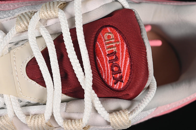 Nike Air Max 95 "Anatomy of Air"