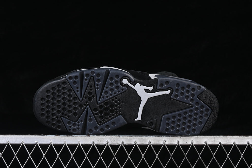Air Jordan 6 Retro "Cap and Gown"