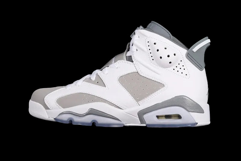 Air Jordan 6 Retro "Cool Grey"