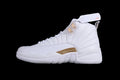 Air Jordan 12 Retro  "Phantom"