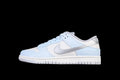 Nike SB Dunk Low "Fleece Swoosh - Light Blue"