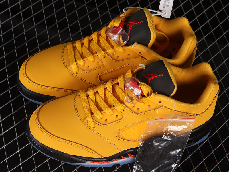 Air Jordan 5 Retro Low "Chutney"