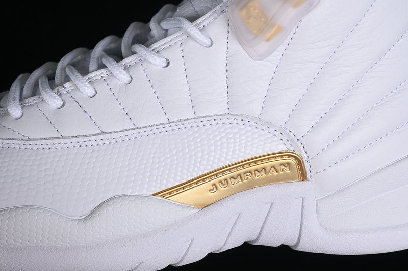 Air Jordan 12 Retro  "Phantom"