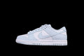 Nike SB Dunk Low "Glacier Blue"